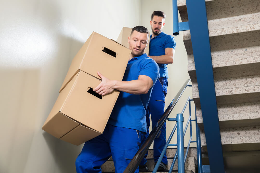 Virginia Local Removals Near Me